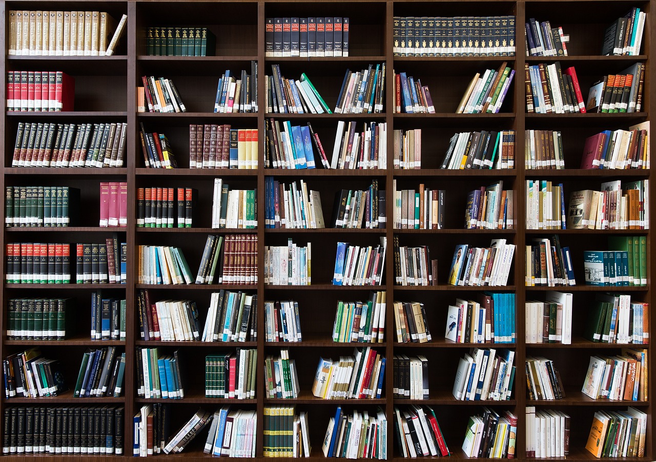 Bookshelves filled with books